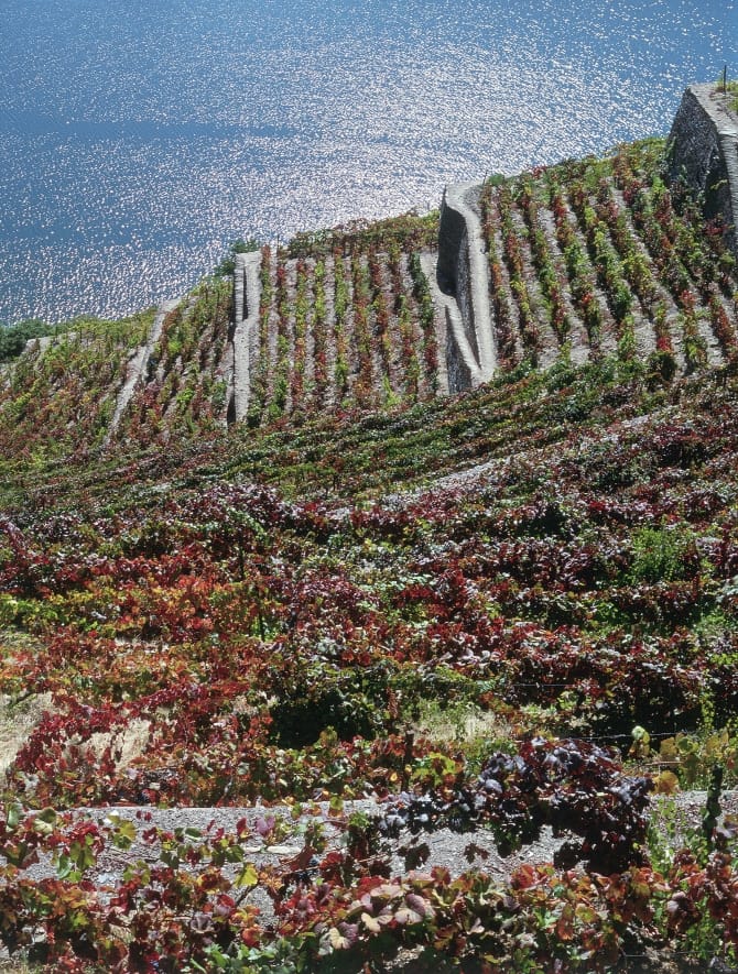 Quinta de La Rosa, Gouvães do Douro <br>© Coleção Museu do Douro/ Egídio Santos